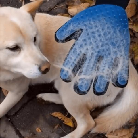 Image of Magic Touch Deshedding Pet Grooming Glove