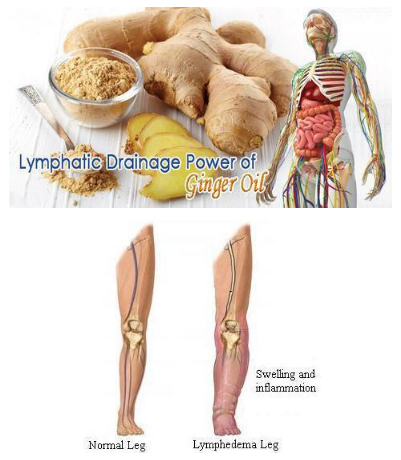 Image of Premium Ginger Oil - Improves Swelling, Joint Pain, Infection