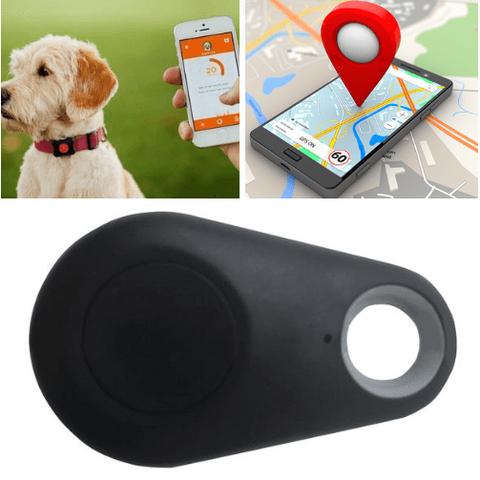 Image of Pet GPS Tracker