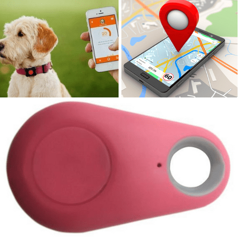 Image of Pet GPS Tracker