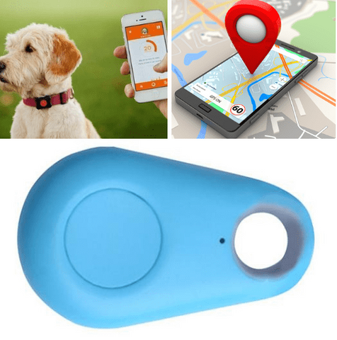 Image of Pet GPS Tracker