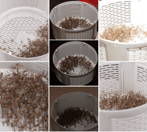 Image of USB Powered Portable Mosquito Lamp