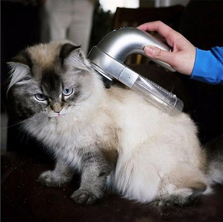 Image of Portable Pet Hair Vacuum