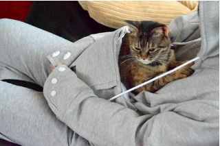 Image of Cat Pouch Hoodie with Ears – Pet Holder Sweatshirt