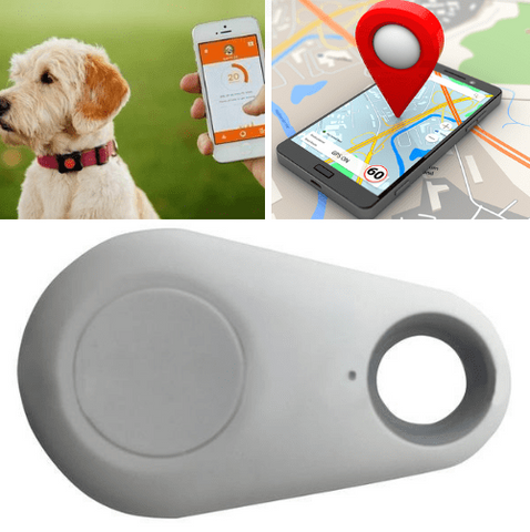 Image of Pet GPS Tracker