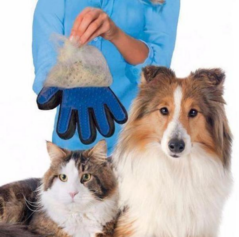 Image of Magic Touch Deshedding Pet Grooming Glove