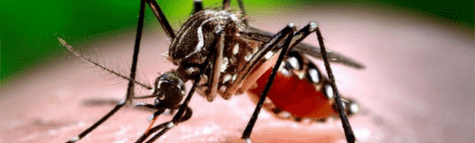 Image of USB Powered Portable Mosquito Lamp