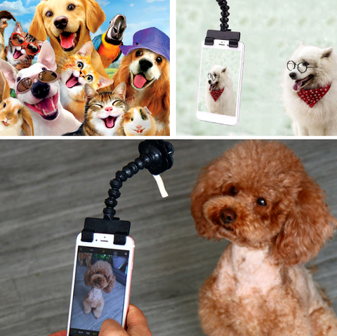 Image of Pet Selfie Stick