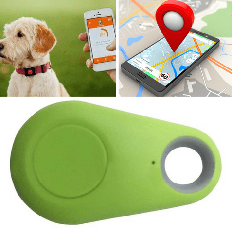 Image of Pet GPS Tracker