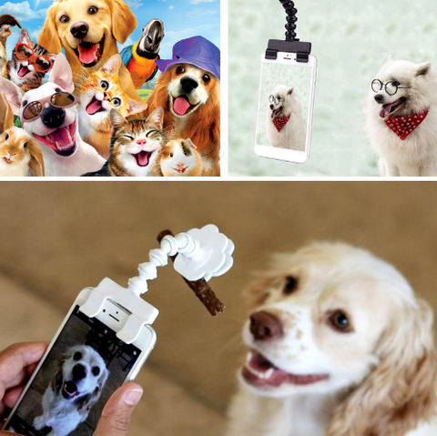 Image of Pet Selfie Stick